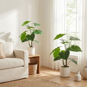 30'' Artificial Tropical Alocasia Leaf Plant With White Pot 2pc/set (Option: Green Leaves)