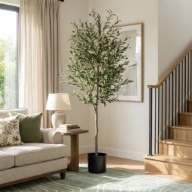 6FT Artificial Olive Tree in Black Plastic Pot, 1pc/set (Option: Green Leaves)